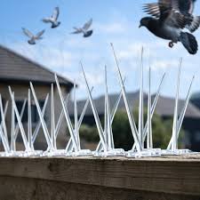 Best Invisible Grills and Pigeon Nets Service in Pune